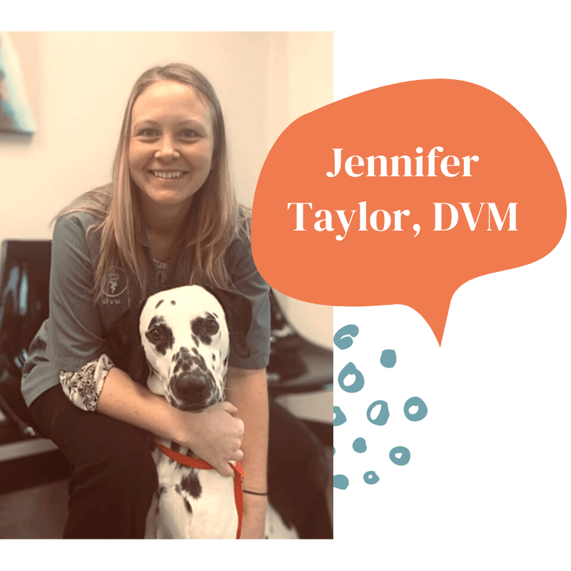 Jennifer Taylor, DVM with dalmatian