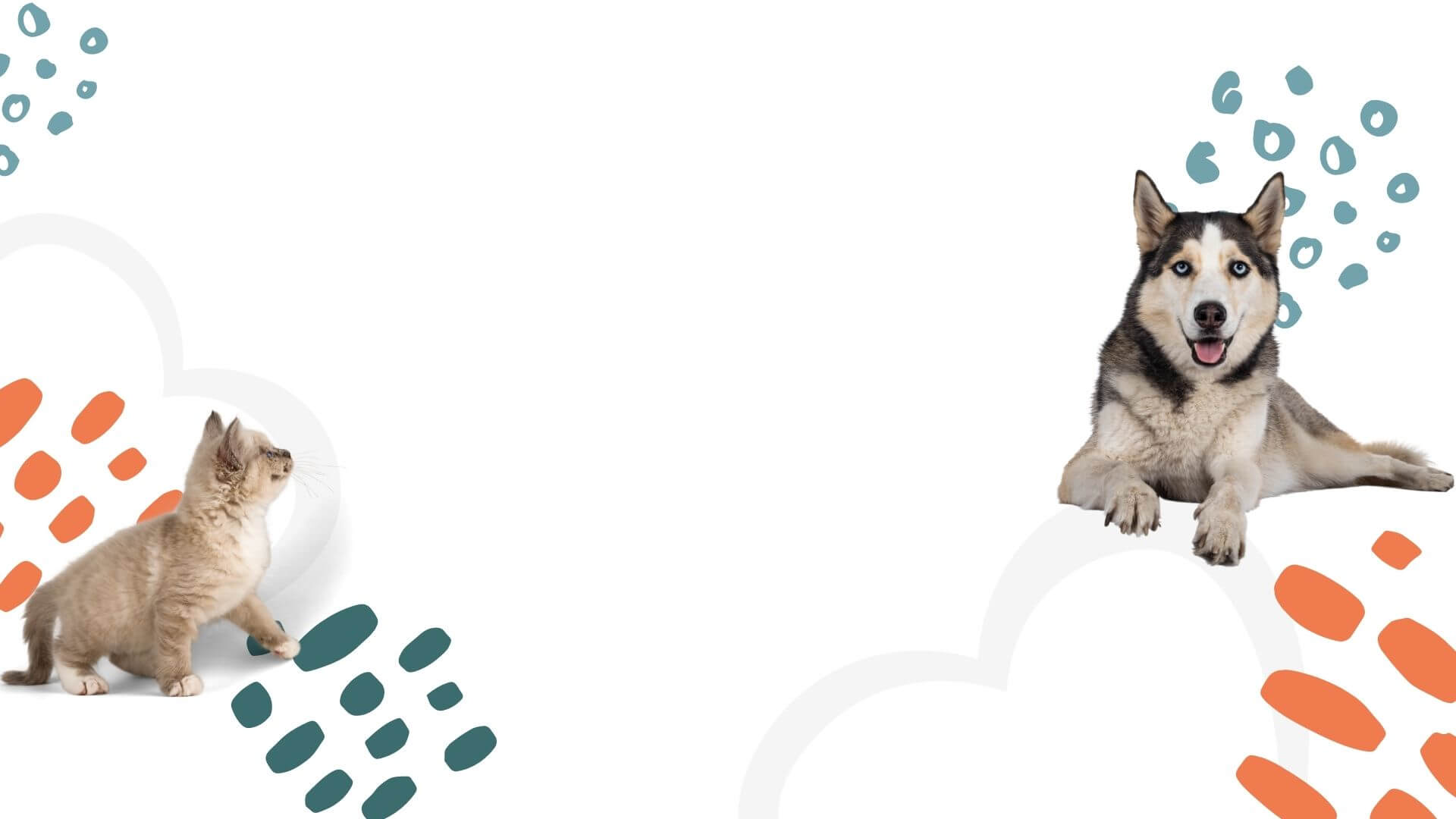 Pet Boarding In Corbin, KY Corbin Animal Health & Wellness