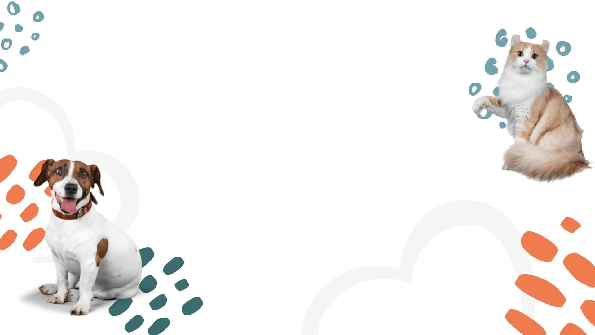 Corbin, KY 40701 Veterinarians Corbin Animal Health & Wellness