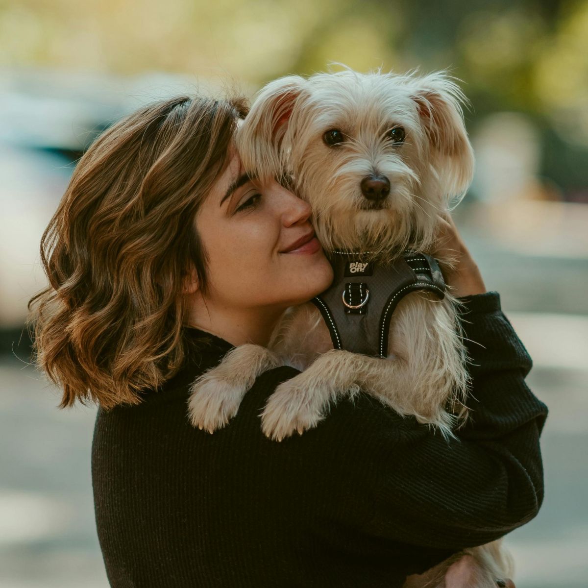 A lady hugging a dog