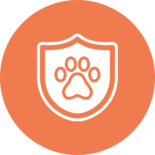 vaccinations icon